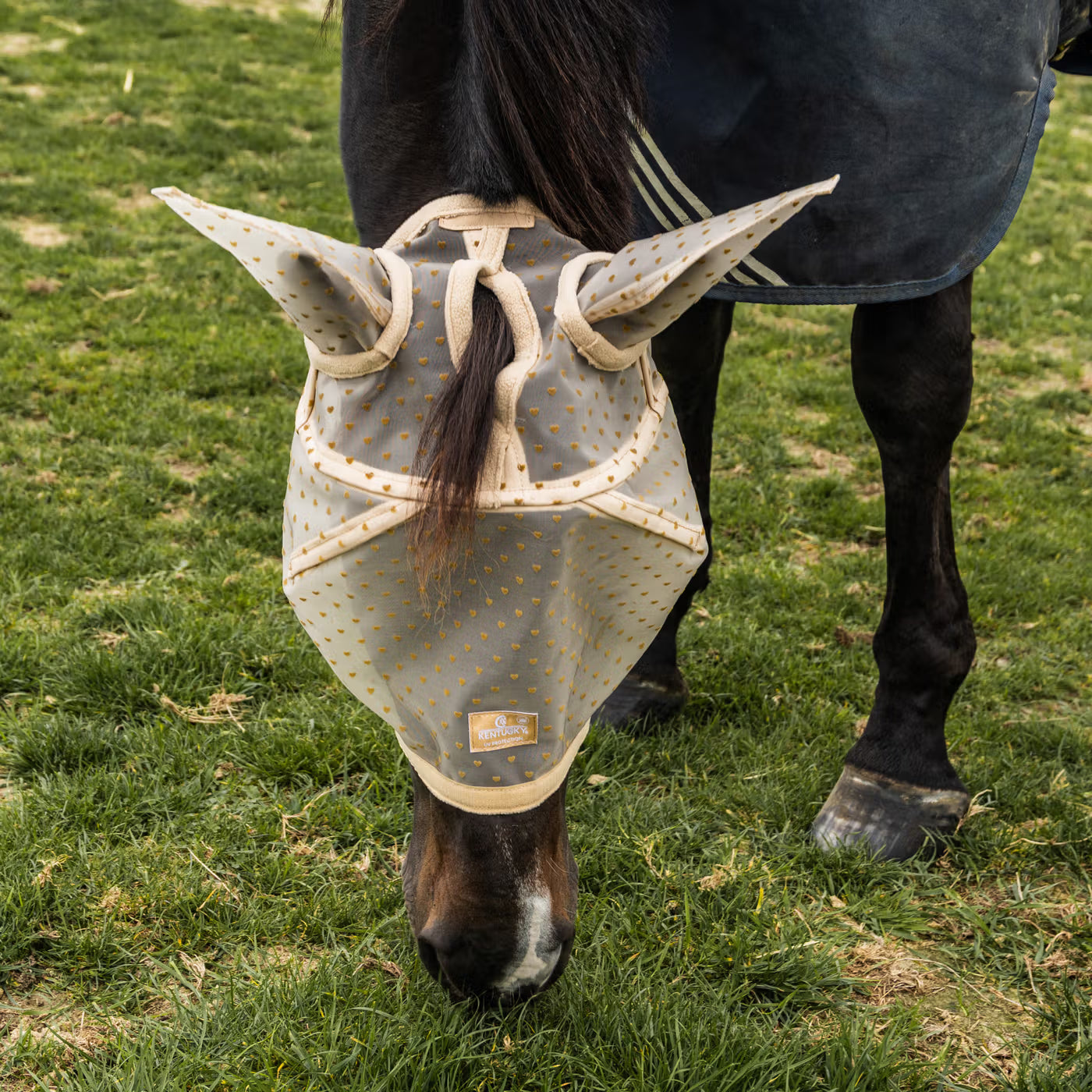 Fly mask for horses with hearts