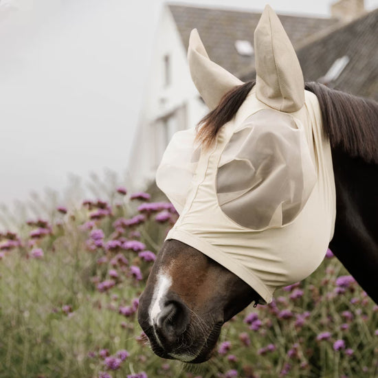 Zipper, press-button & opening for the forelock