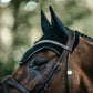 Fly Bonnet horses