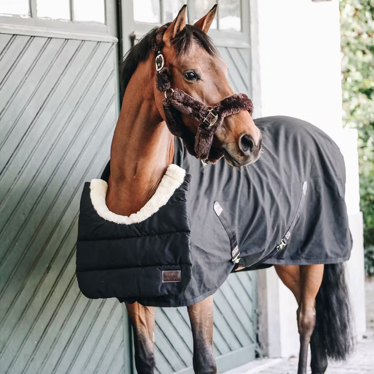 Bib for rug 