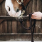 2 meter long rope