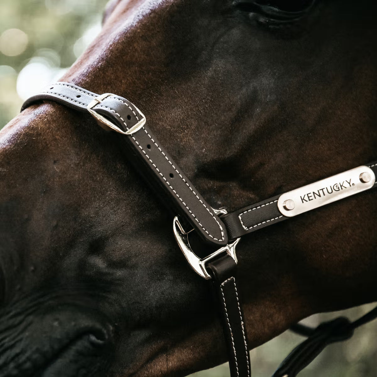 Kentucky Horsewear
Leather Halter Flexible