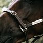 Kentucky Horsewear
Leather Halter Flexible