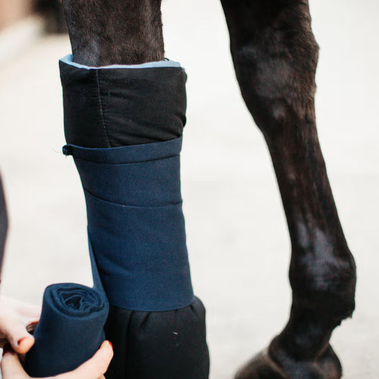 Kentucky Horsewear
Magnetic Bandage Pads Recuptex, set of 2