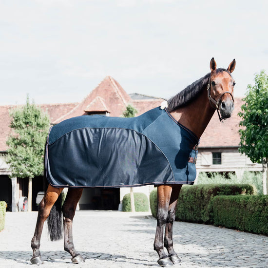cooler rug kentucky