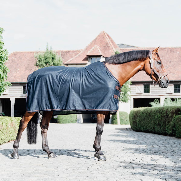 kentucky rug horses