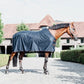kentucky rug horses