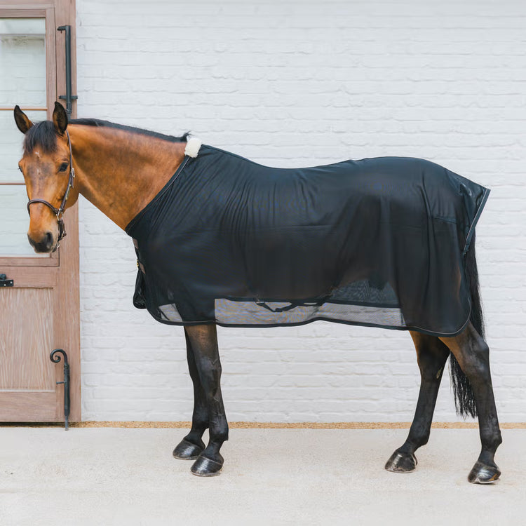 fly rug 