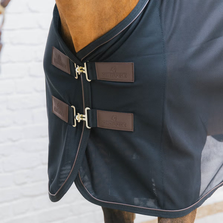 kentucky tranpsort fly rug