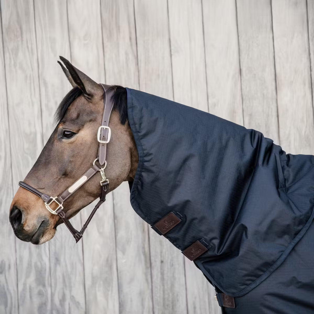 Kentucky Horsewear
Neck All Weather Waterproof Classic