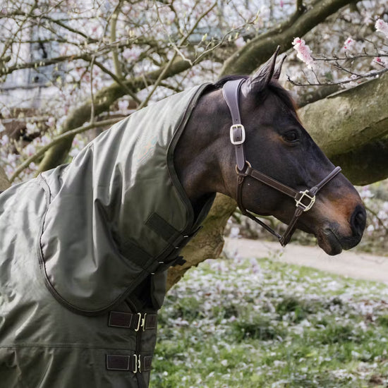Kentucky Horsewear
Neck All Weather Waterproof Pro