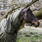 Kentucky Horsewear
Neck All Weather Waterproof Pro