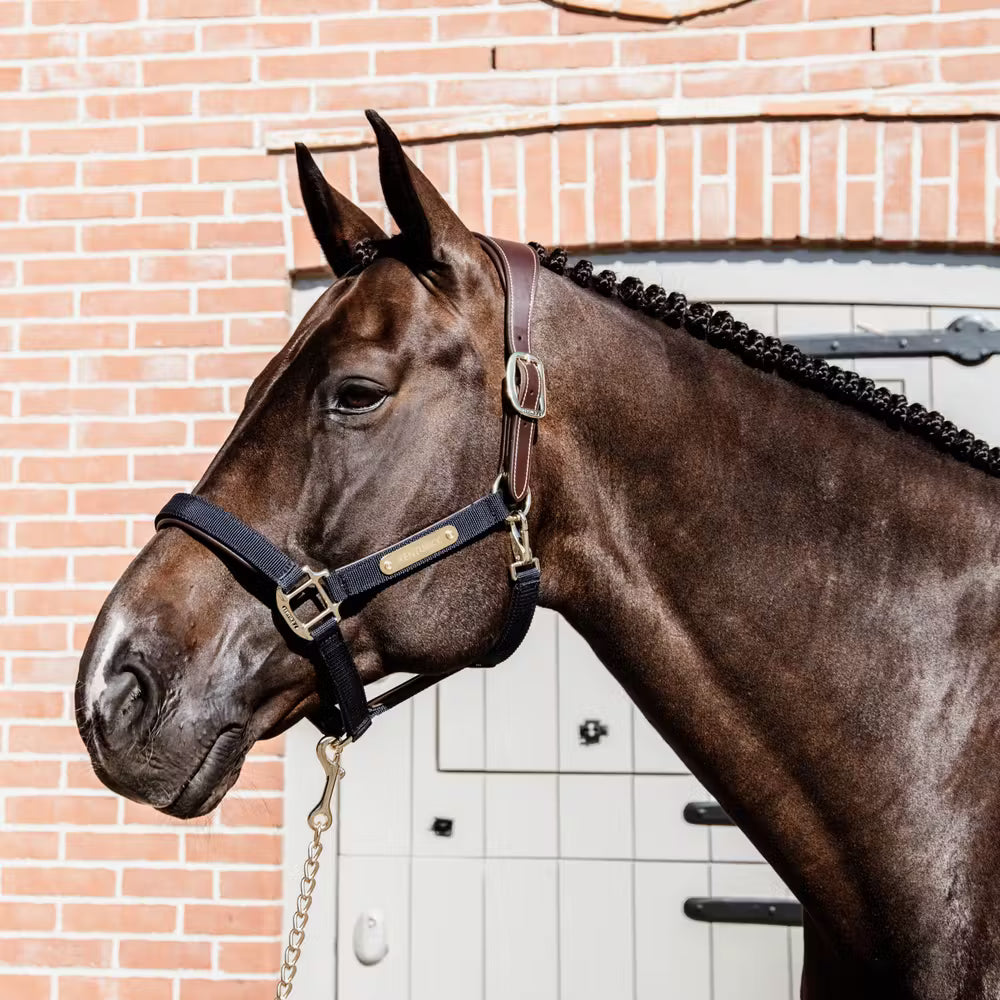 Kentucky Horsewear
Nylon Anatomic Halter