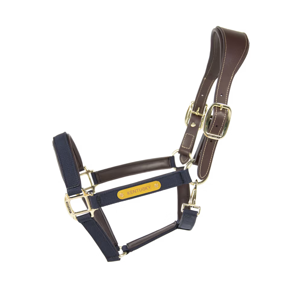 Kentucky Horsewear
Nylon Anatomic Halter Navy
