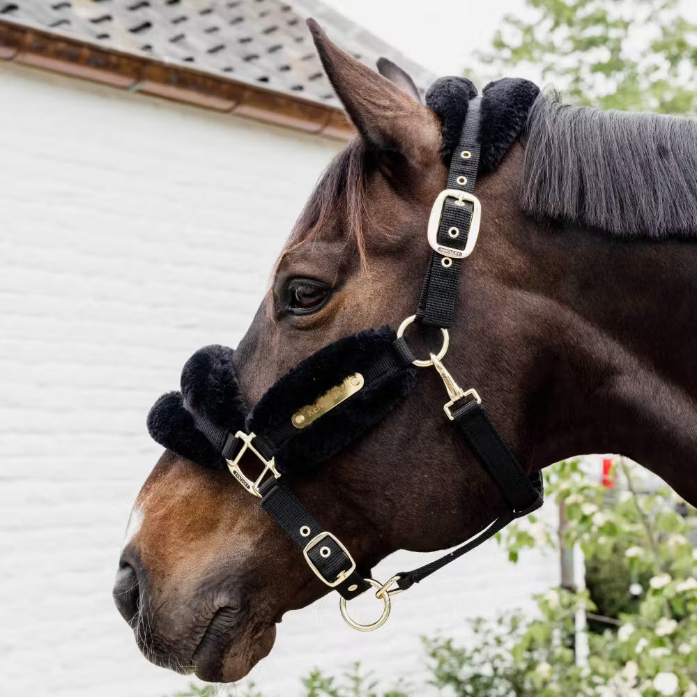 Strong nylon halter covered with vegan sheepskin