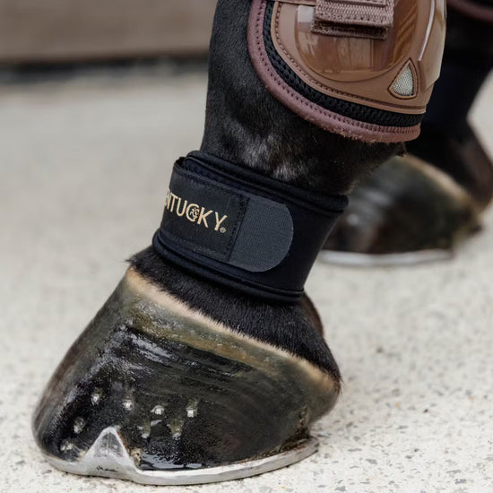 Kentucky Horsewear Pastern Wrap Black