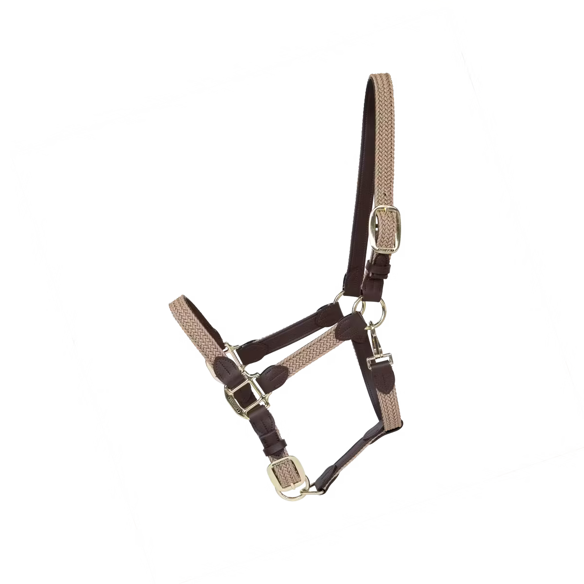 kentucky halter
