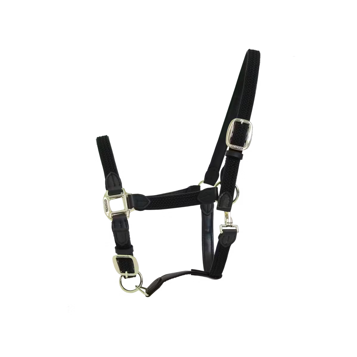 Plaited Nylon Halte r horses
