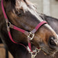 red halter with rope
