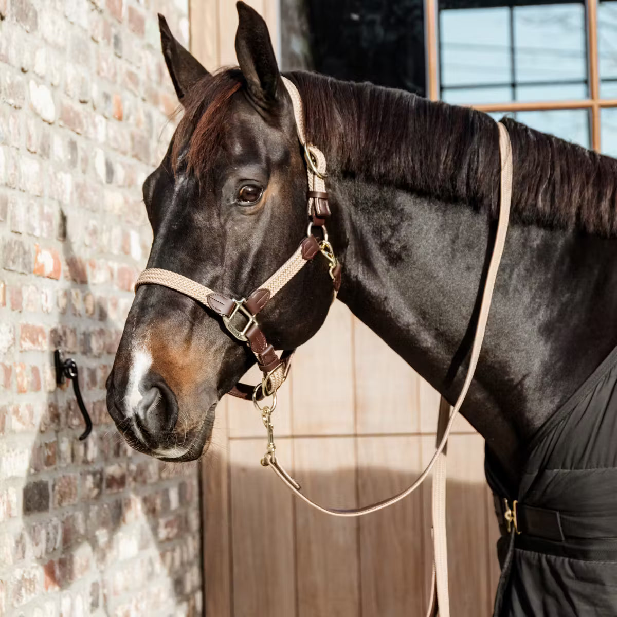Kentucky Horsewear
Plaited Nylon Horse Lead