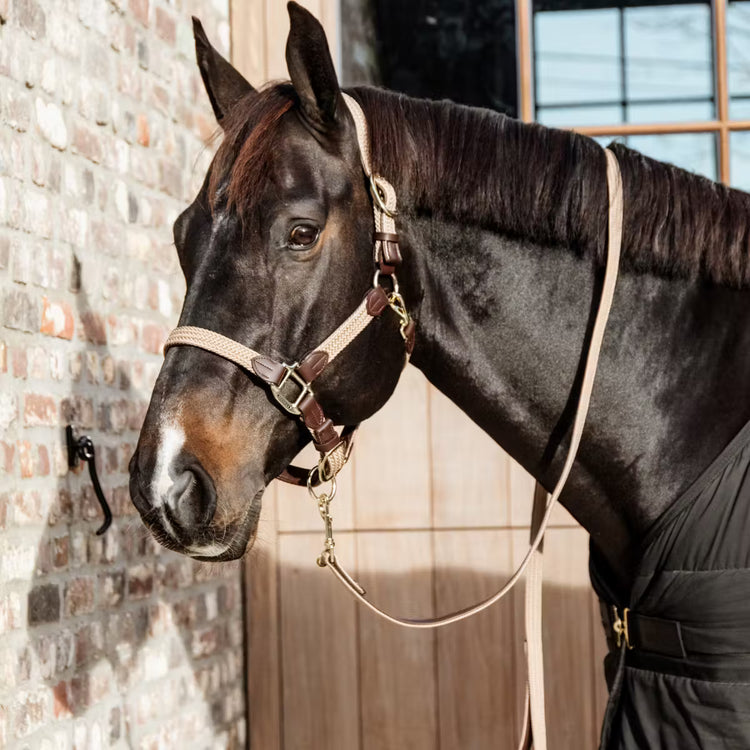Kentucky Horsewear
Plaited Nylon Horse Lead