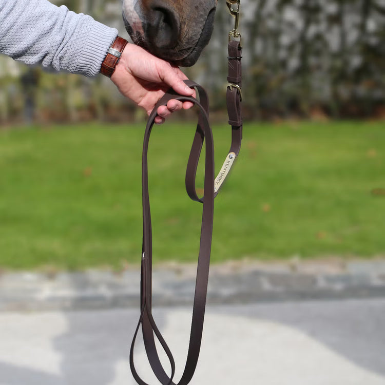 Lead Rope Kentucky