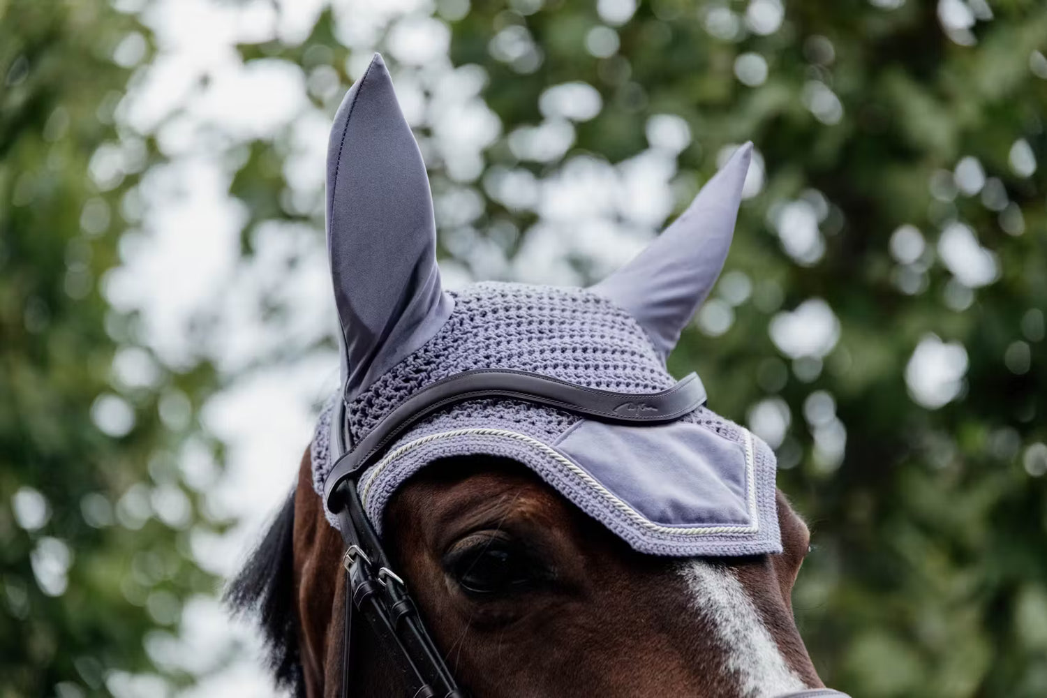 Horse wearing a purple fly bonnet 