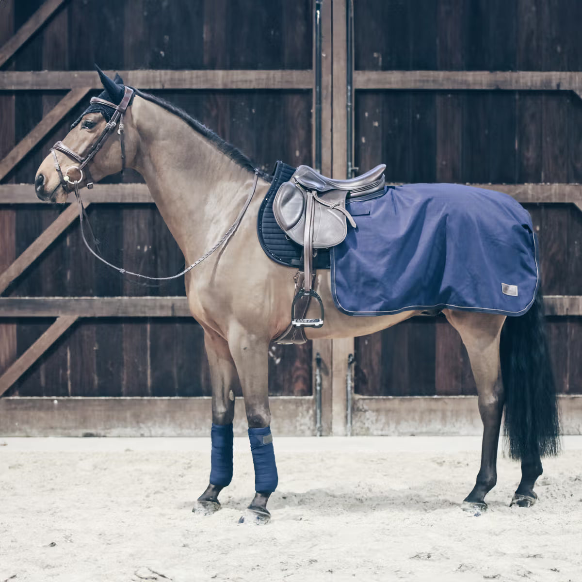 riding rug 