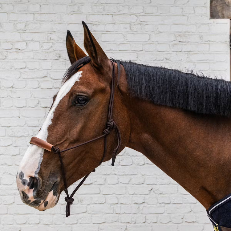 Kentucky rope halter with leather accents