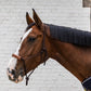 Kentucky rope halter with leather accents