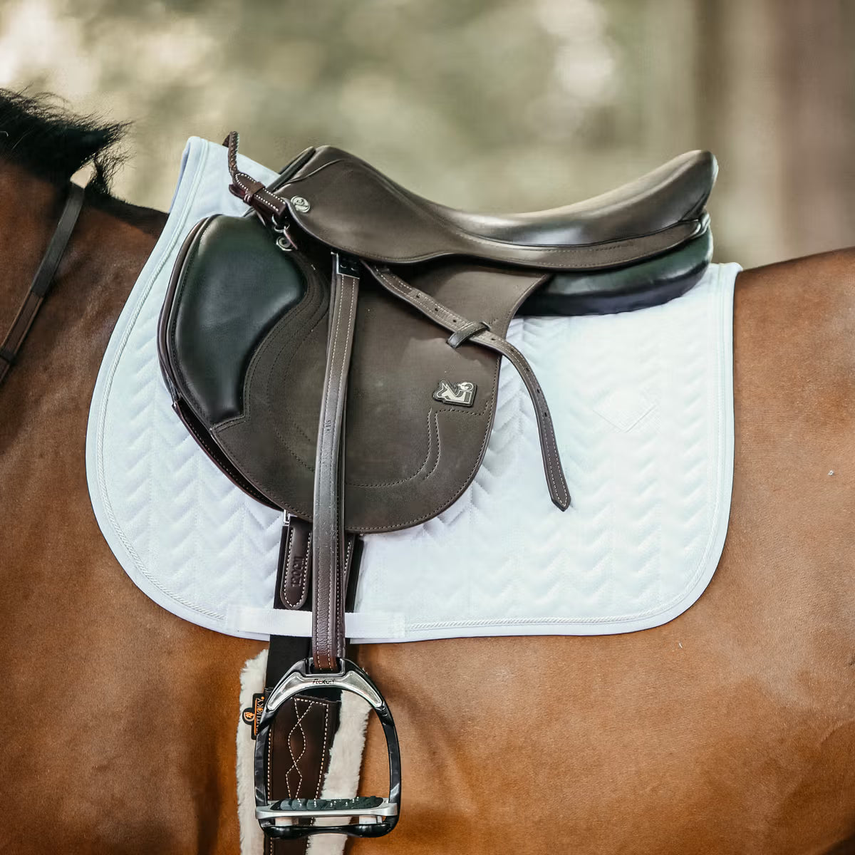No saddle straps, only girth straps pad