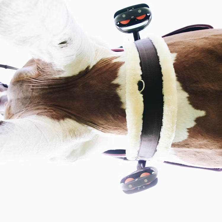 Kentucky Horsewear Sheepskin Girth Brown/Natural