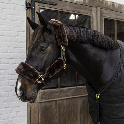 Noseband Set Halter