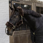 Noseband Set Halter