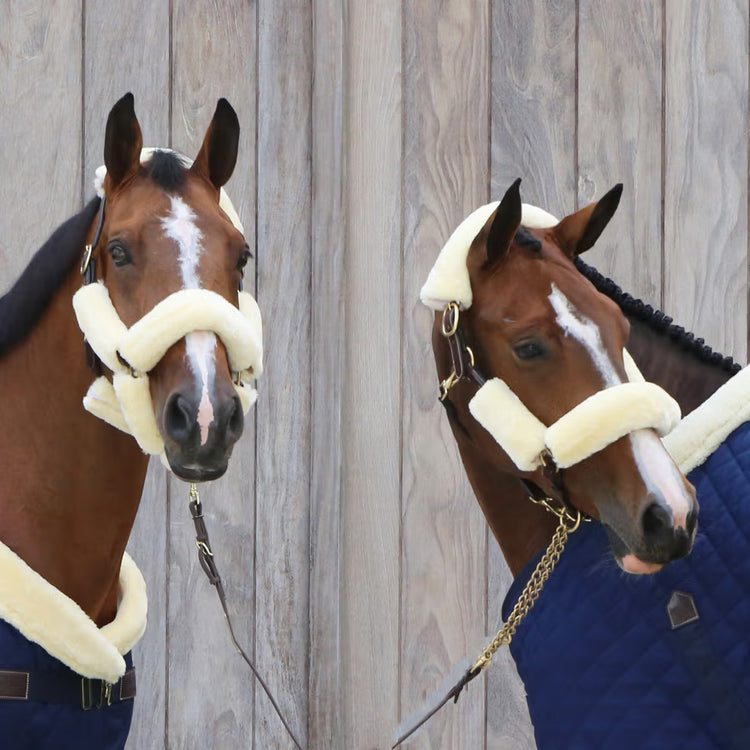 Sheepskin Halter Set