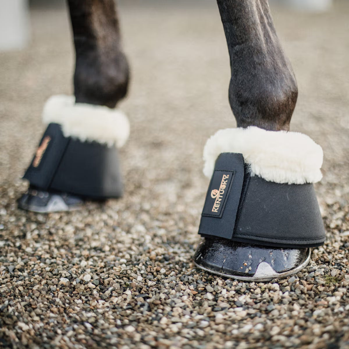 Overreach Boots Solimbra  Kentucky