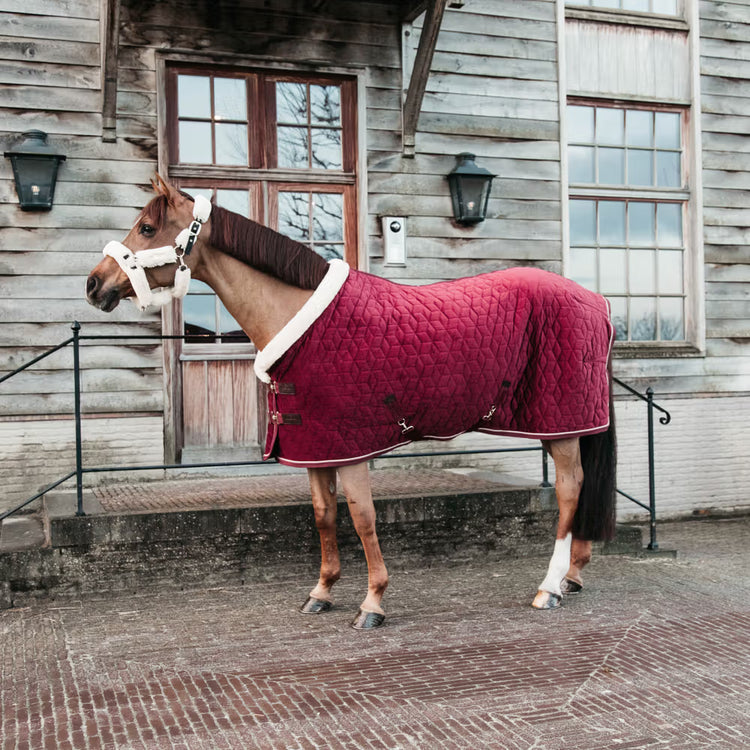 Kentucky Horsewear Show Blanket Velvet Red