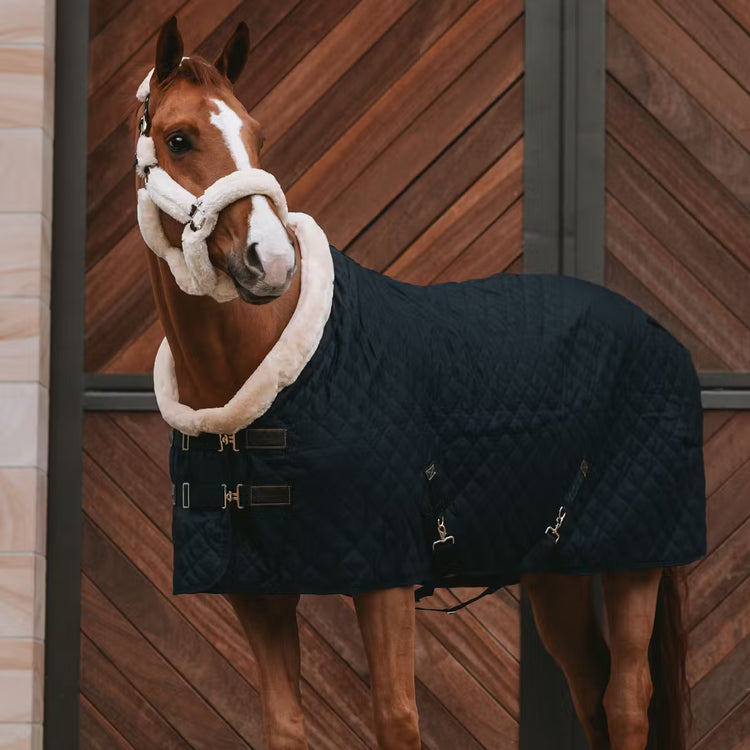 Stable Rug
