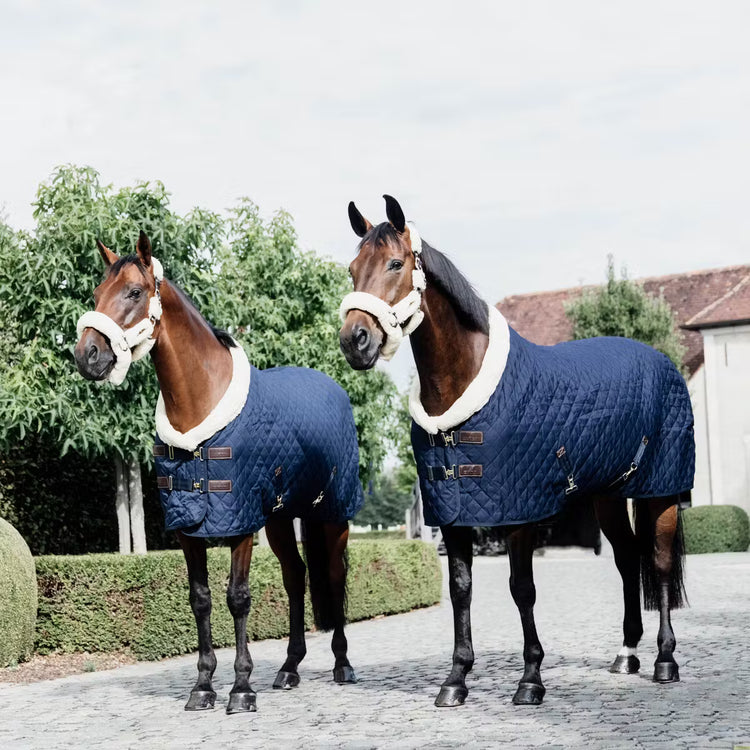 Show Rug Navy