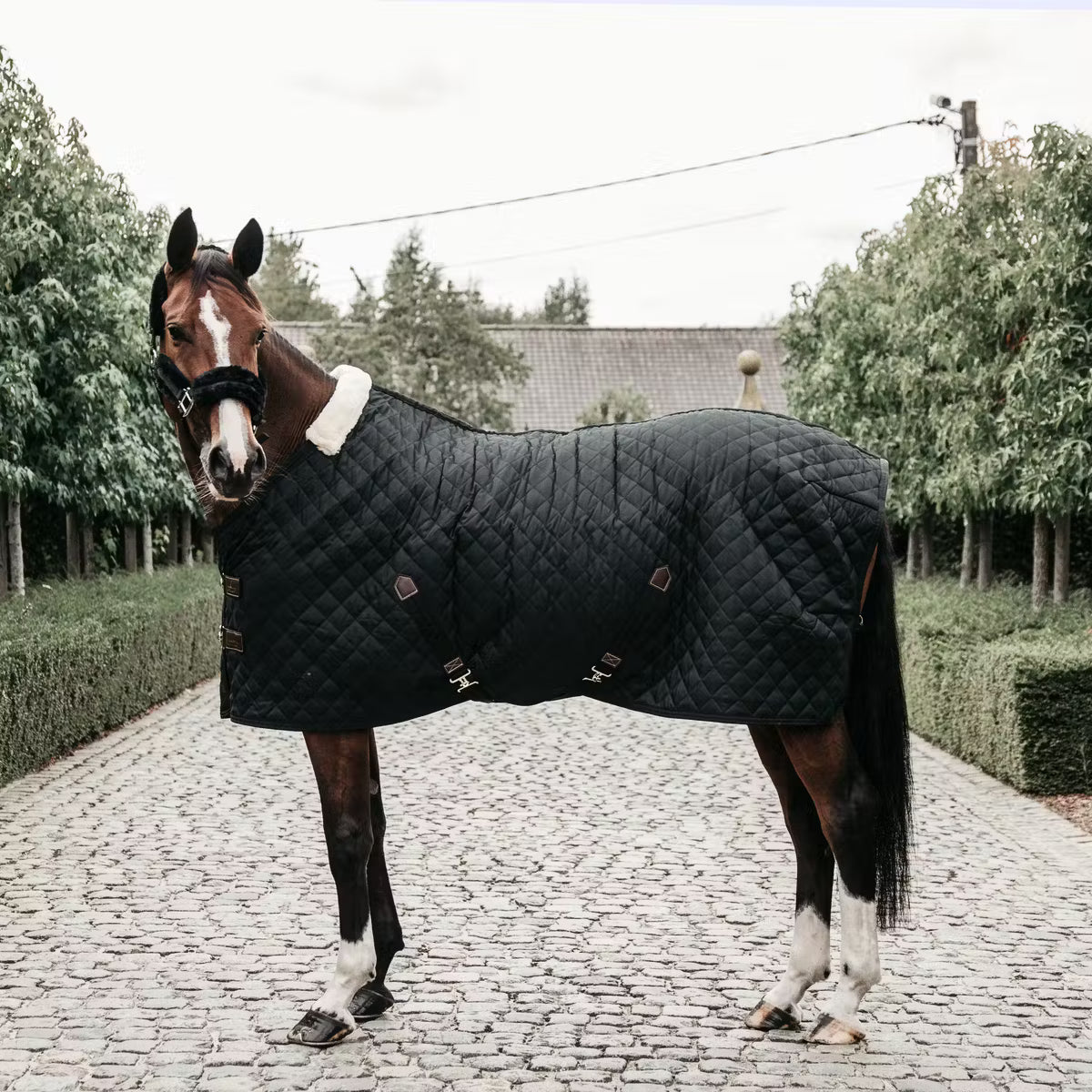 600D high tenacity polyester rug