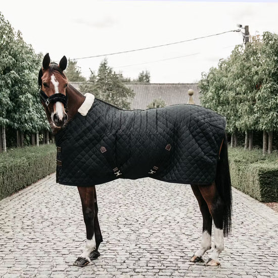 600D high tenacity polyester rug