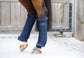 Navy Stable wraps for horses