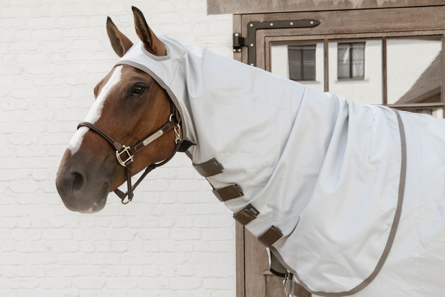 Best sweet itch rug for horses with full neck protection