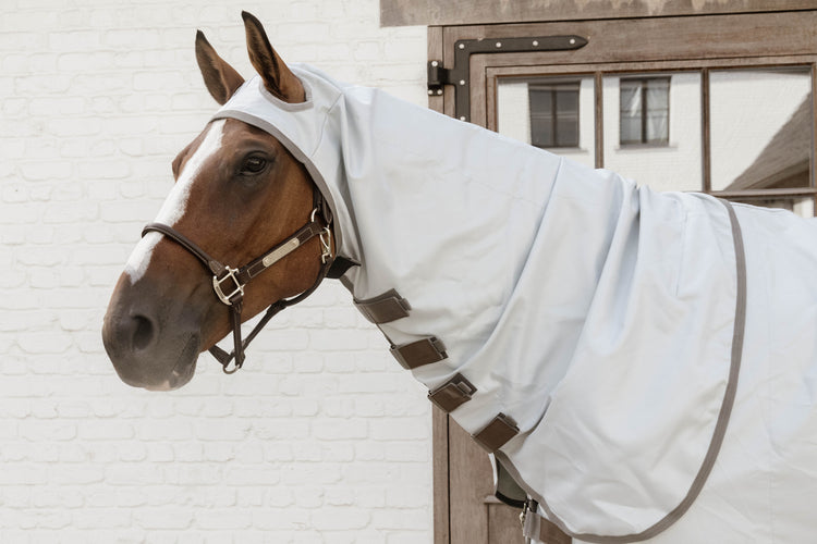 Best sweet itch rug for horses with full neck protection