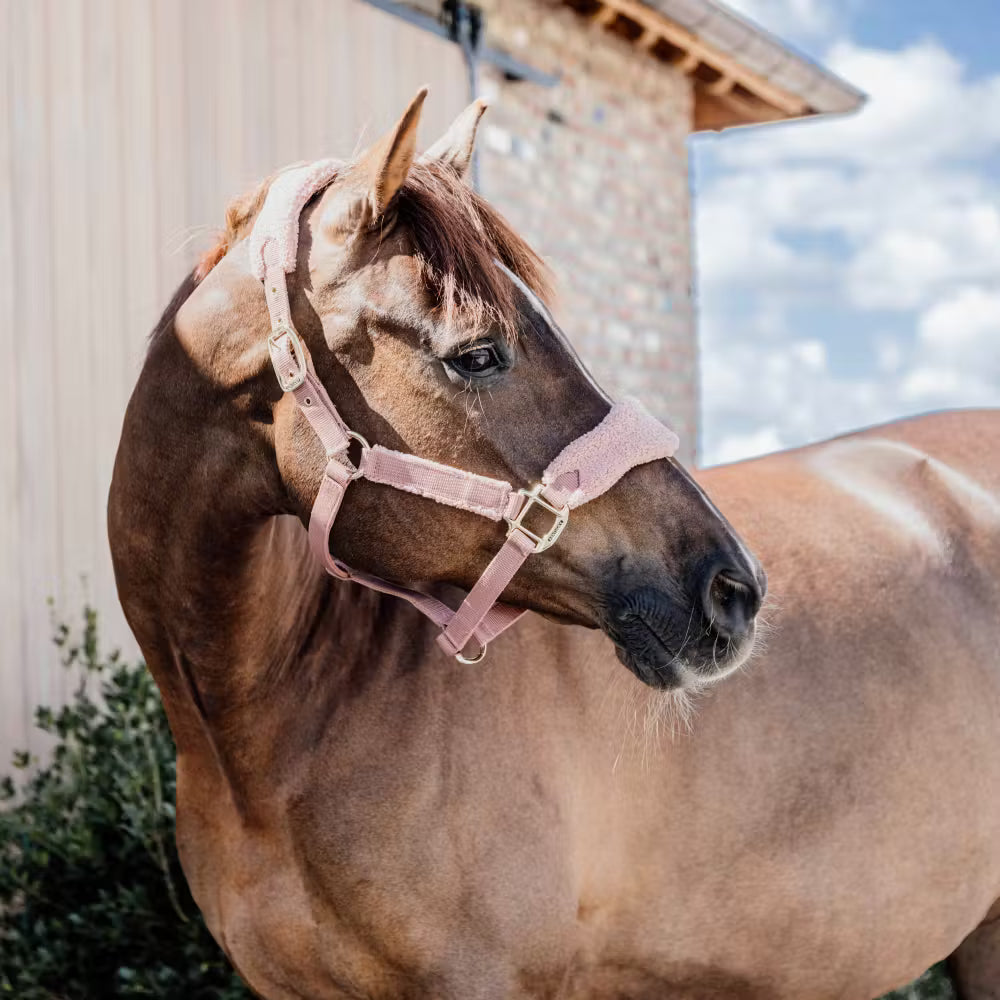 Kentucky Horsewear
Teddy Fleece Halter