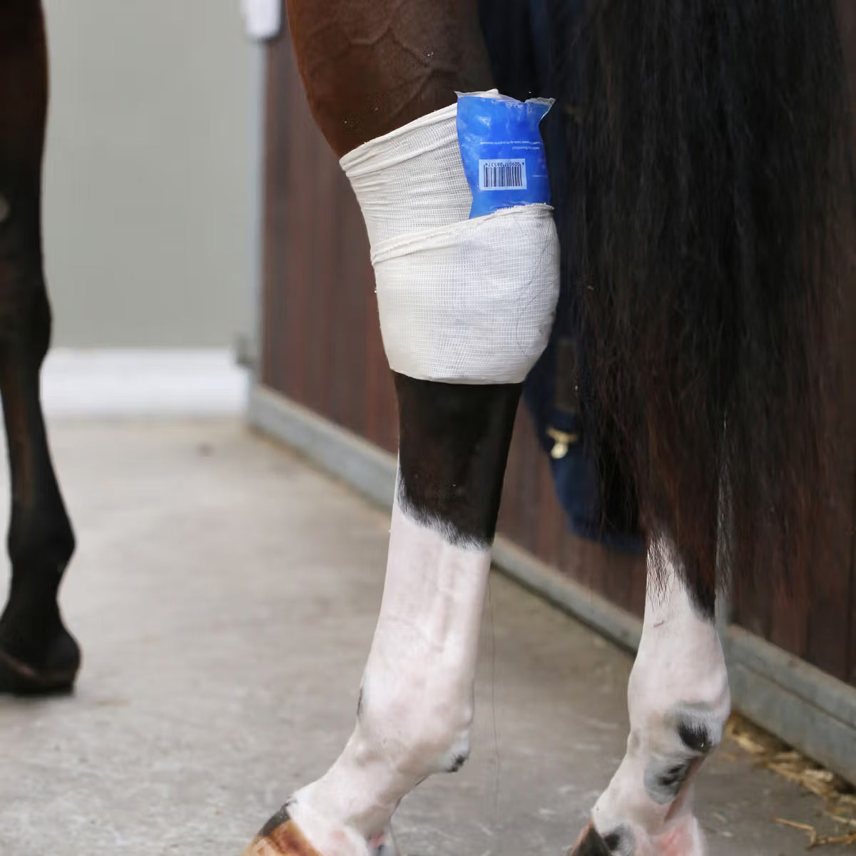 Kentucky Horsewear Tendon Grip Sock White