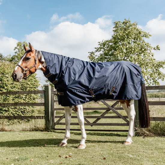 Kentucky Horsewear
Turnout Rug All Weather Quick Dry Fleece With Neck