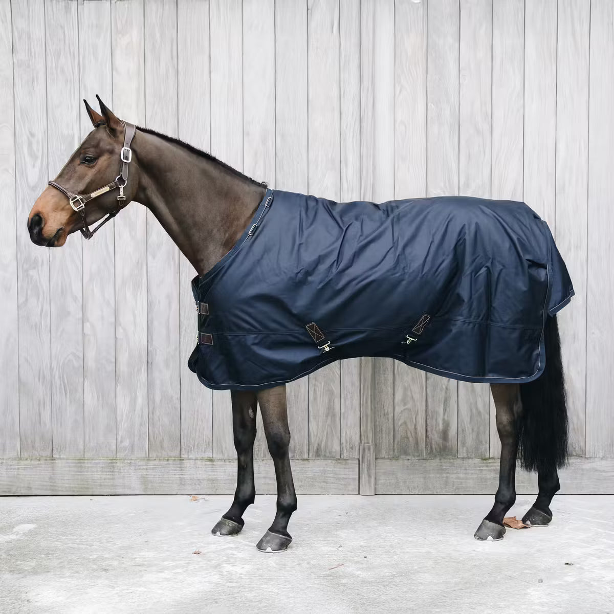Kentucky Horsewear
Turnout Rug All Weather Waterproof Pro