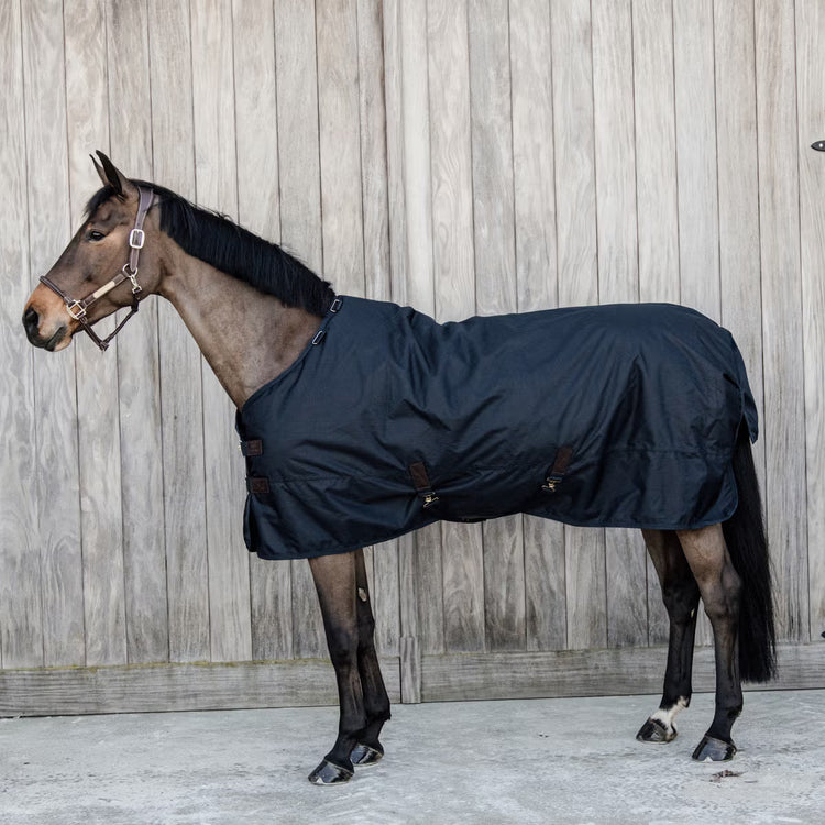 paddock or field rug