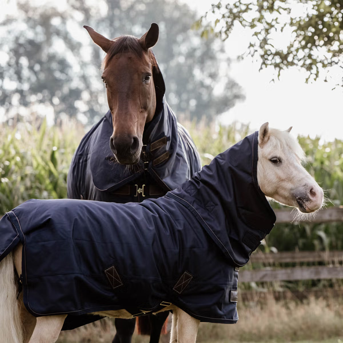 rain rug with neck 